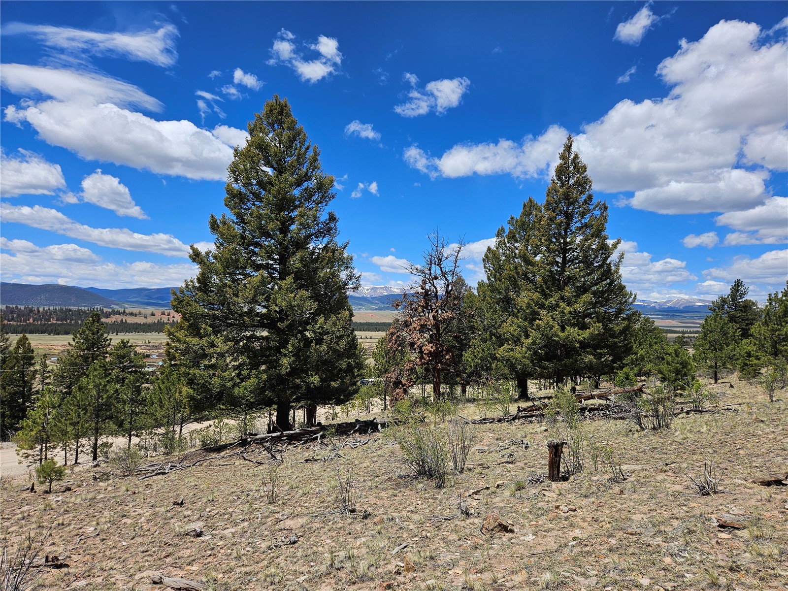 Lot 395 Bonell Drive Property Photo 32