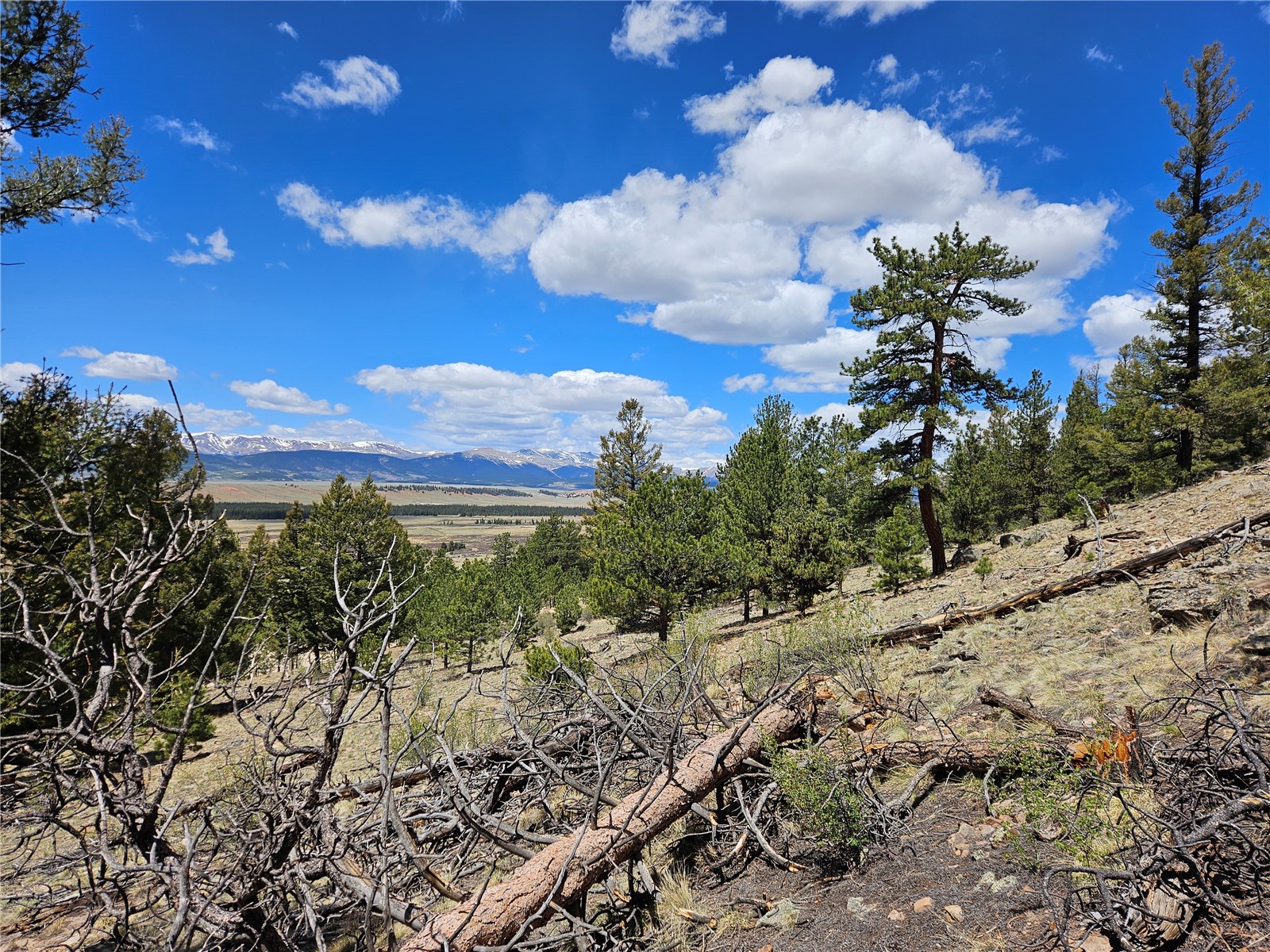 Lot 395 Bonell Drive Property Photo 33