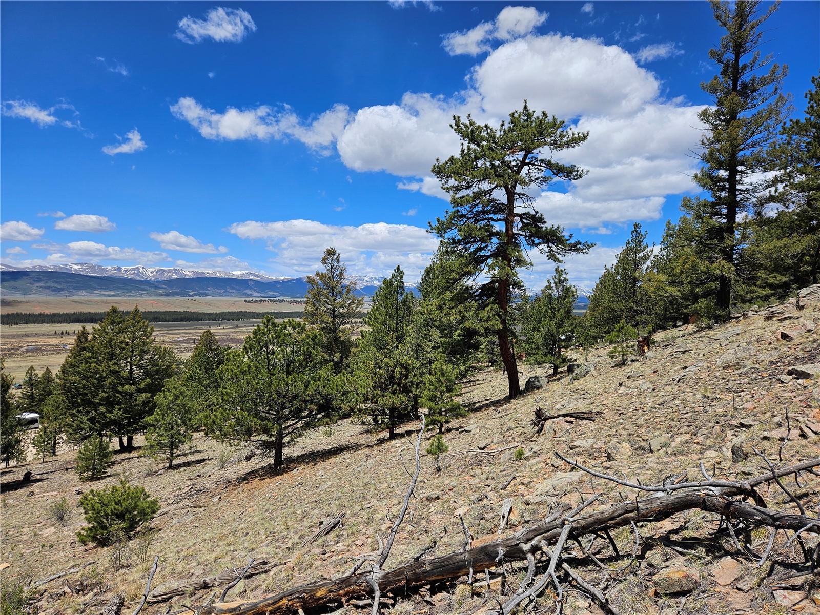 Lot 395 Bonell Drive Property Photo 34