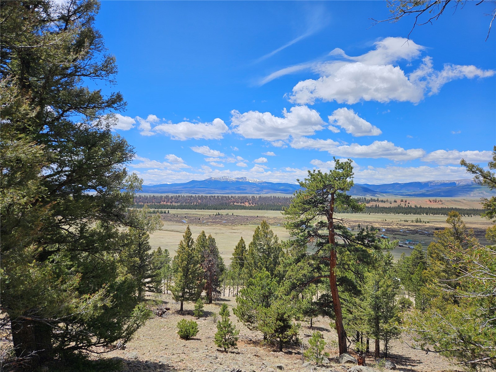 Lot 395 Bonell Drive Property Photo 38