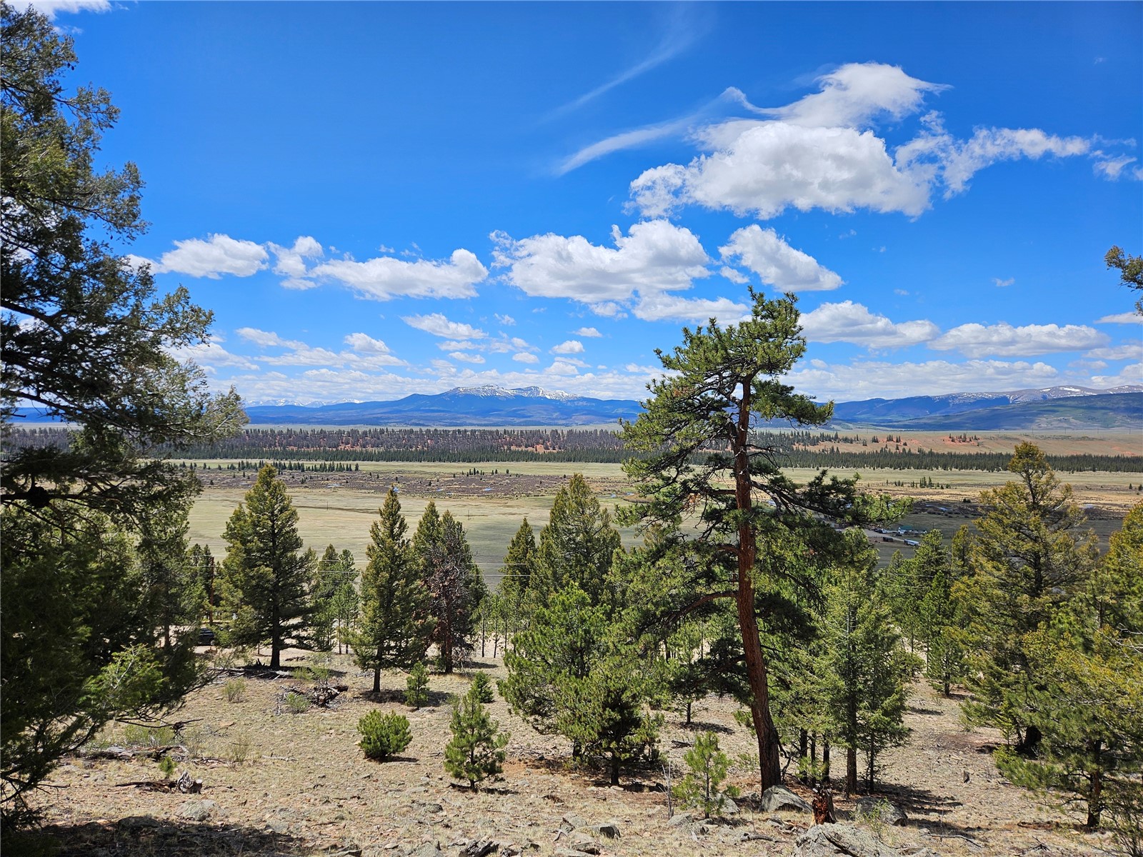 Lot 395 Bonell Drive Property Photo 39