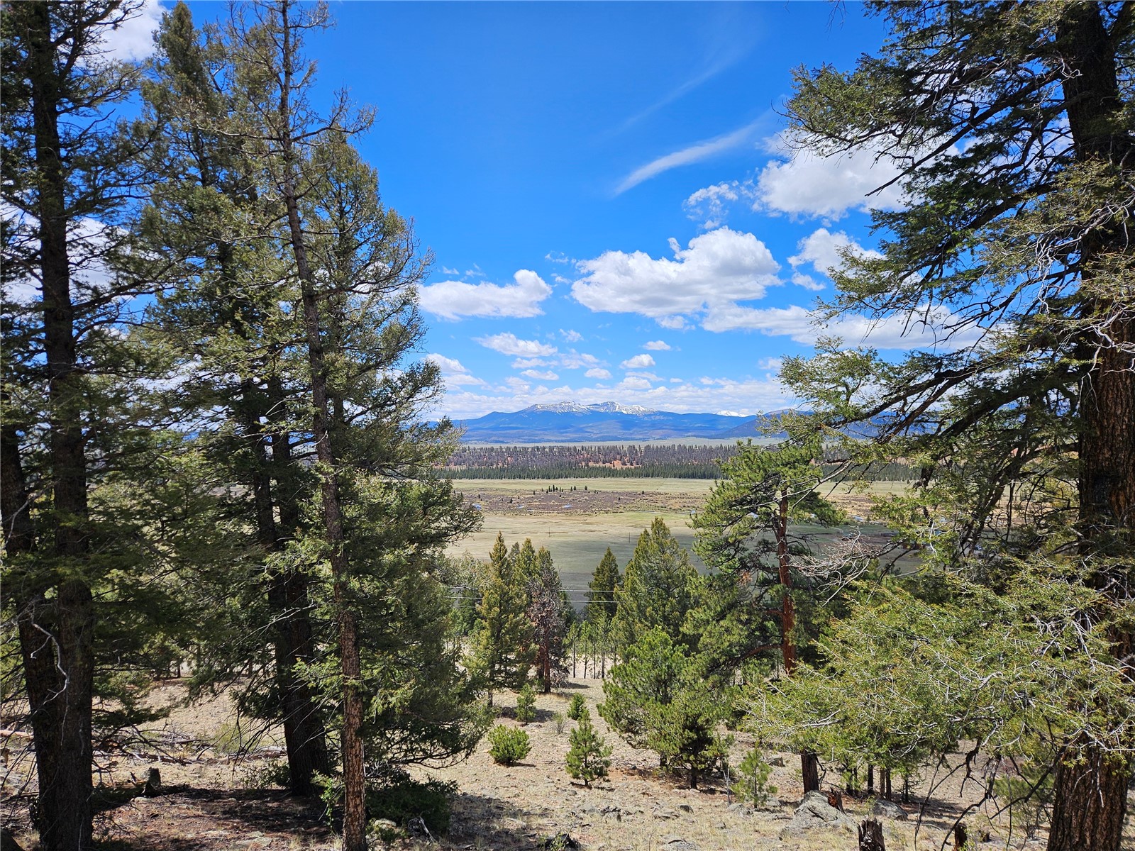Lot 395 Bonell Drive Property Photo 40
