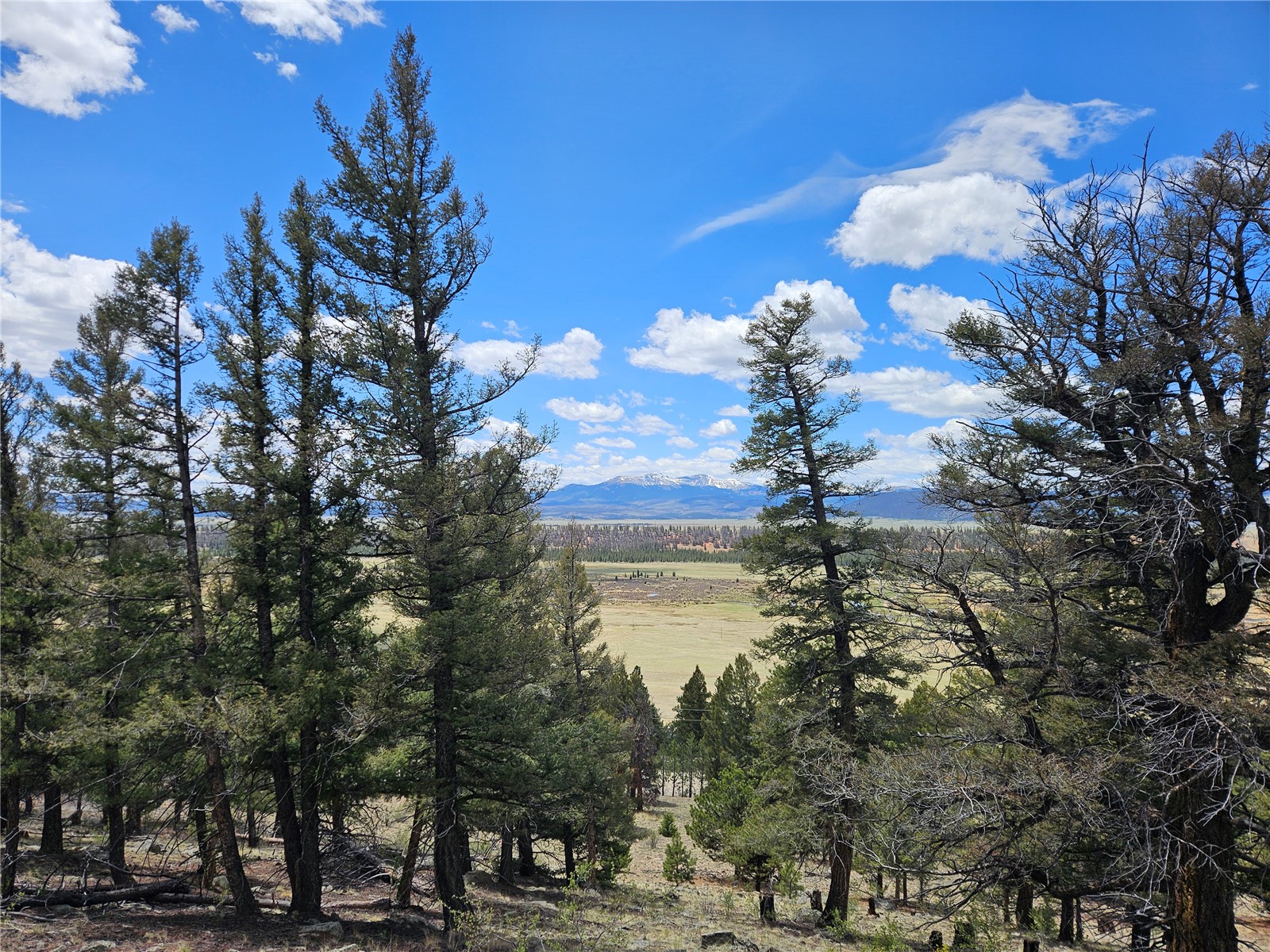 Lot 395 Bonell Drive Property Photo 41