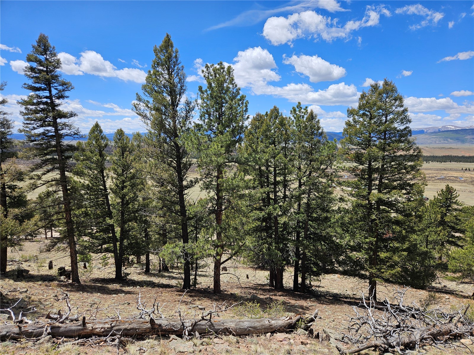 Lot 395 Bonell Drive Property Photo 42