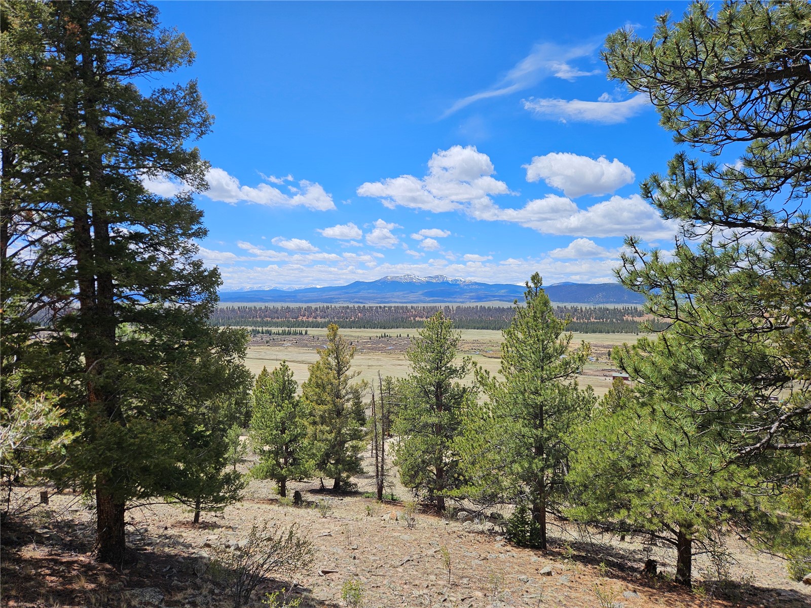 Lot 395 Bonell Drive Property Photo 43