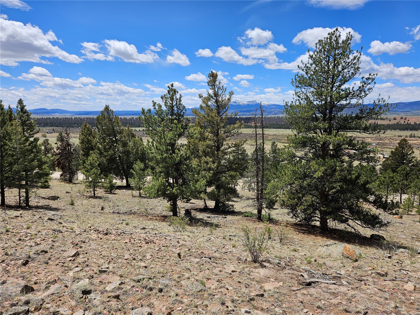 Lot 395 Bonell Drive Property Photo 44
