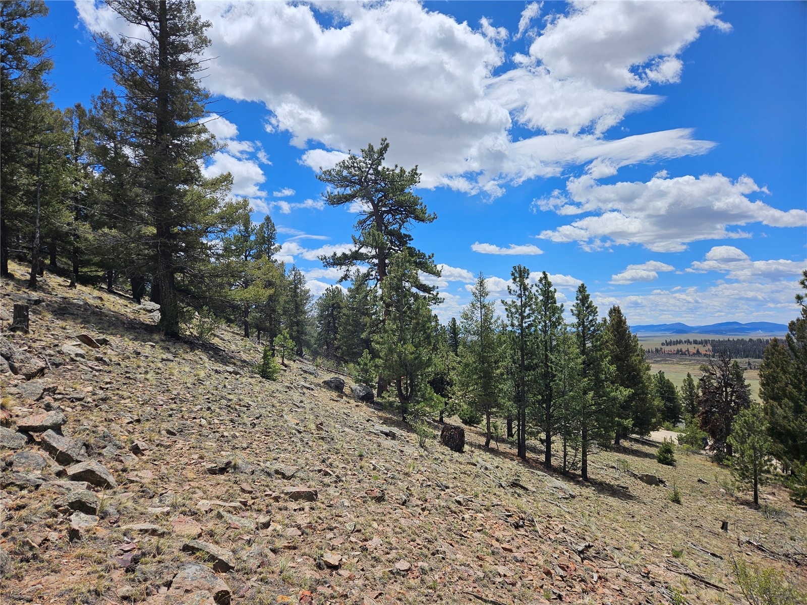 Lot 395 Bonell Drive Property Photo 45