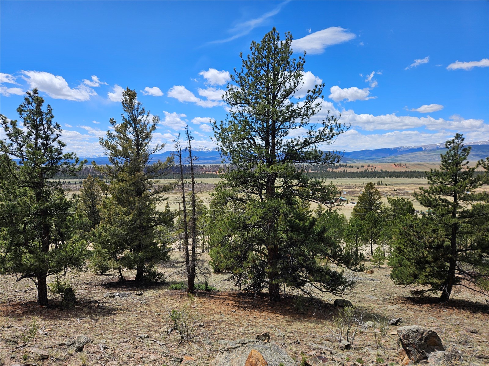 Lot 395 Bonell Drive Property Photo 46