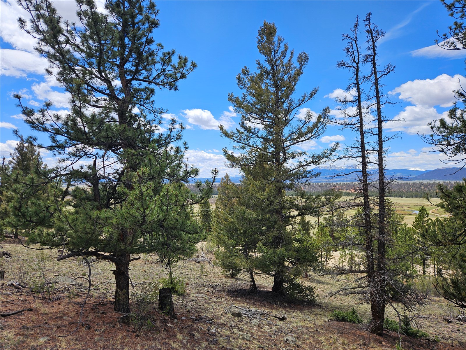 Lot 395 Bonell Drive Property Photo 47