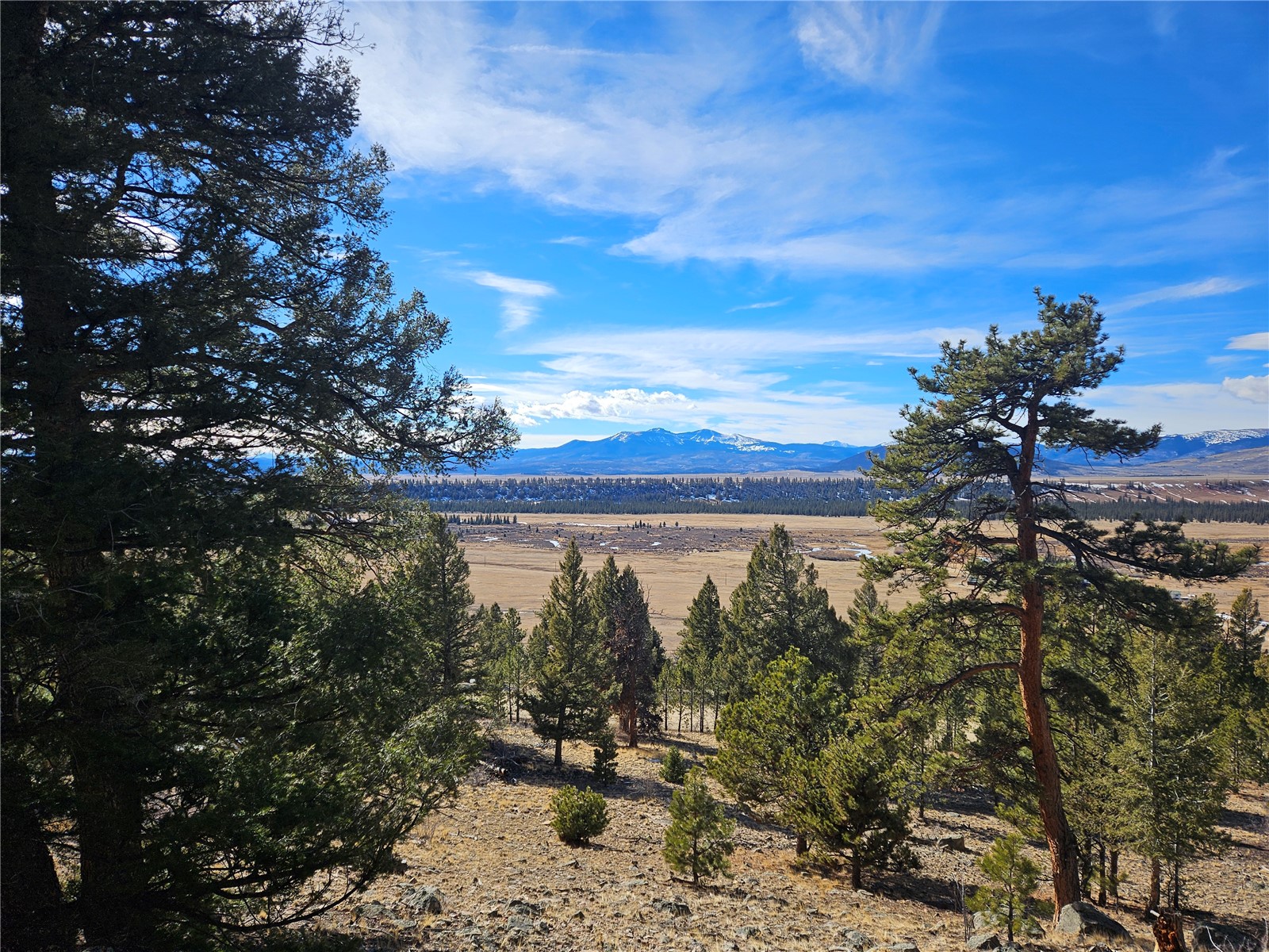 Lot 395 Bonell Drive Property Photo 48