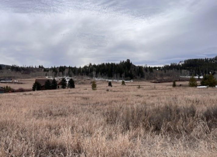 Tbd Ute Trail Property Photo 9