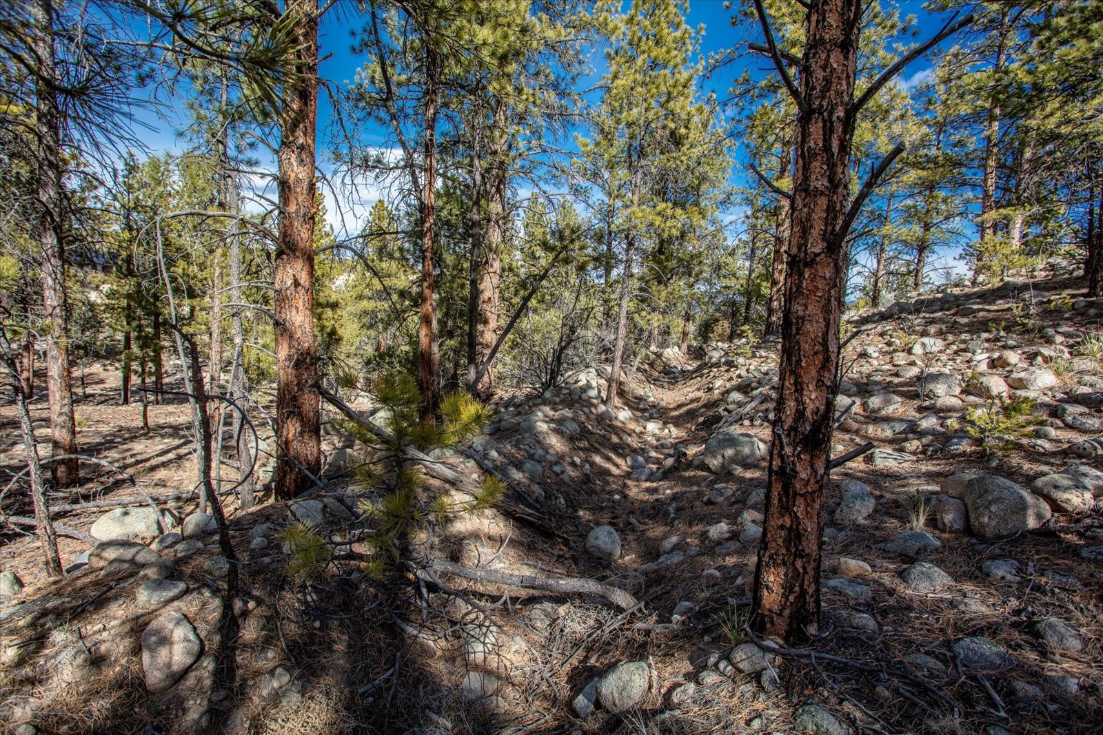 21160 Skyline Drive Property Photo 18