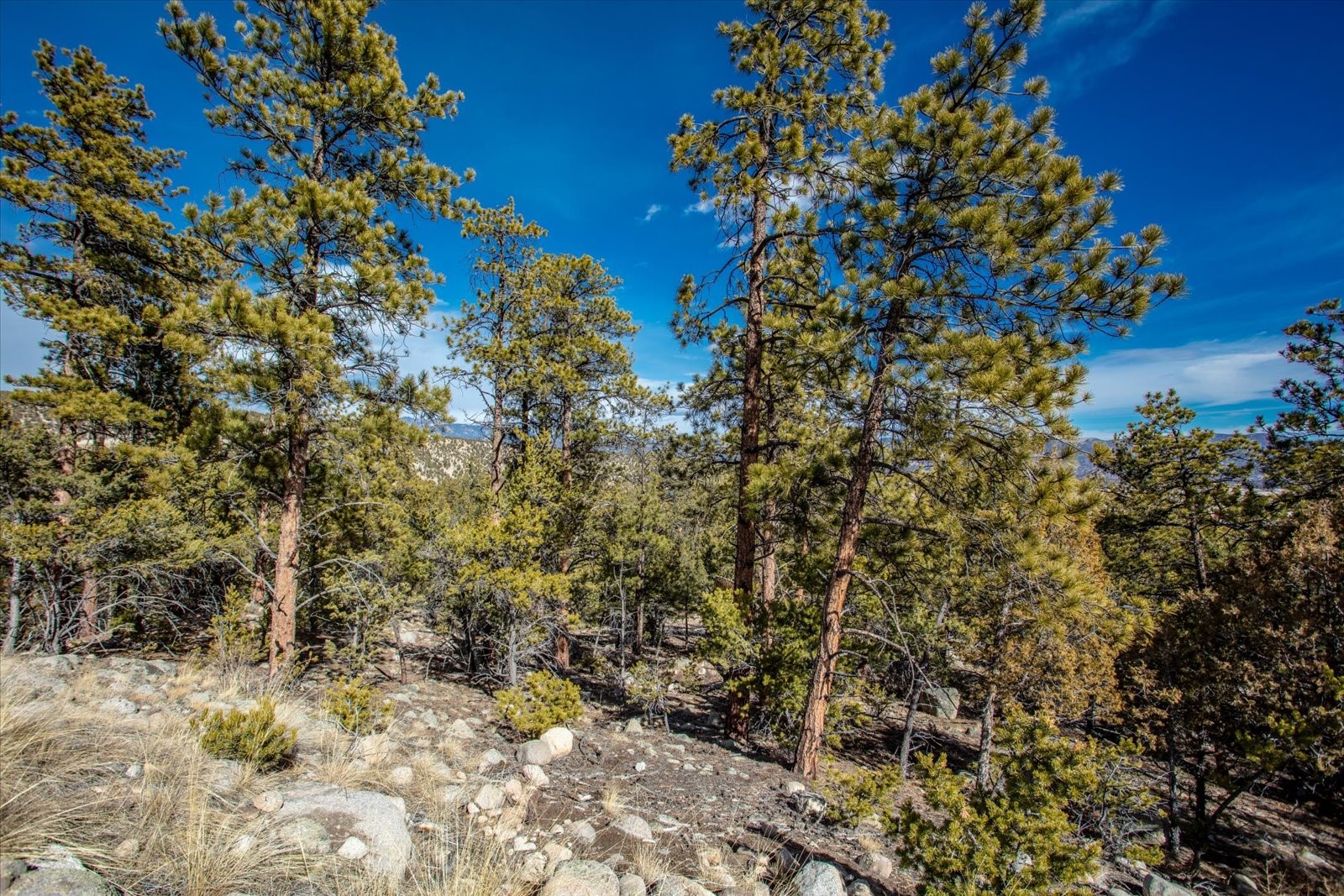 21160 Skyline Drive Property Photo 24