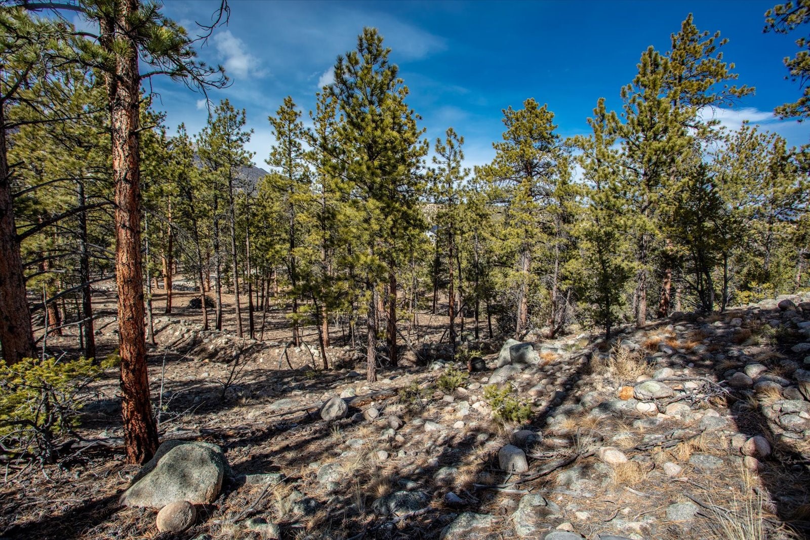 21160 Skyline Drive Property Photo 26