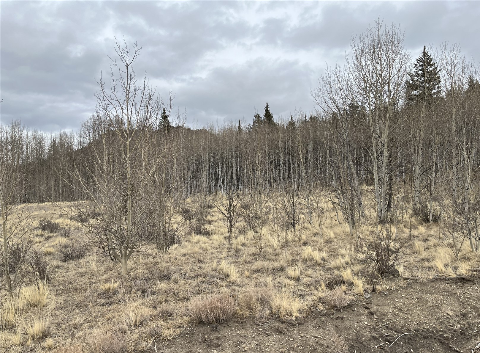 688 Ouray Trail Property Photo 3