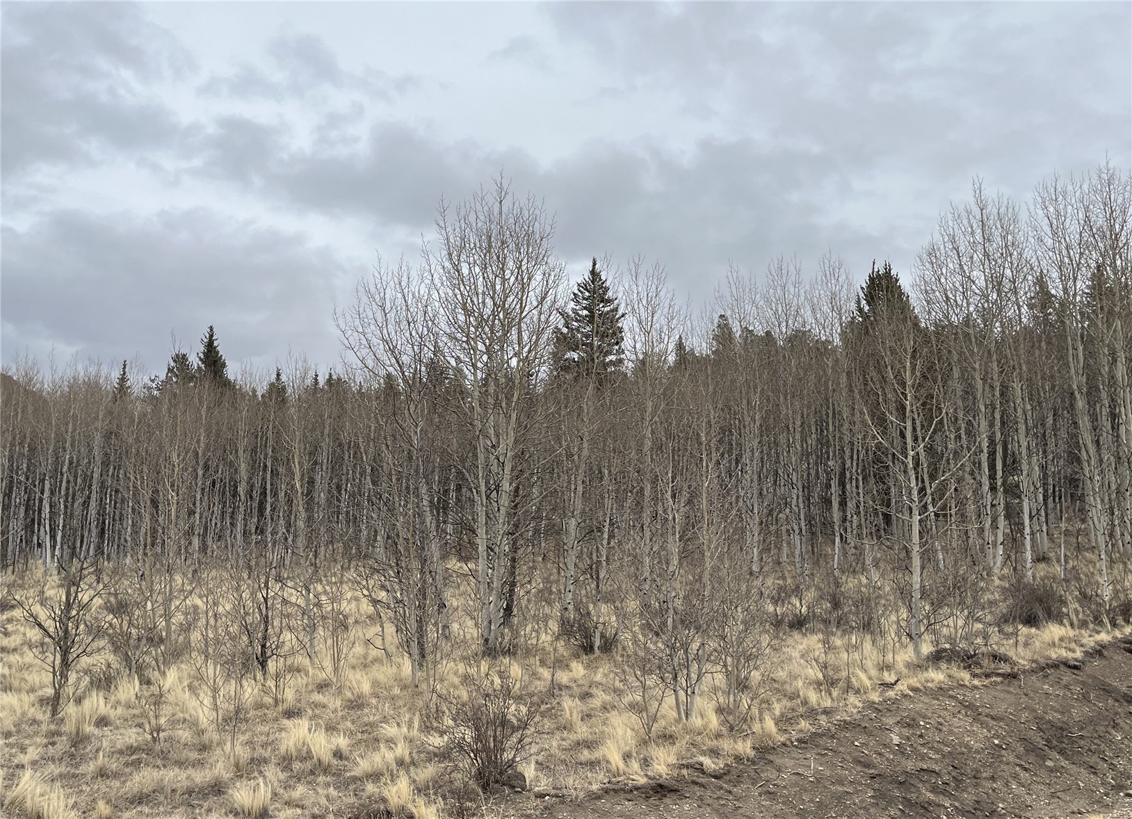 688 Ouray Trail Property Photo 4