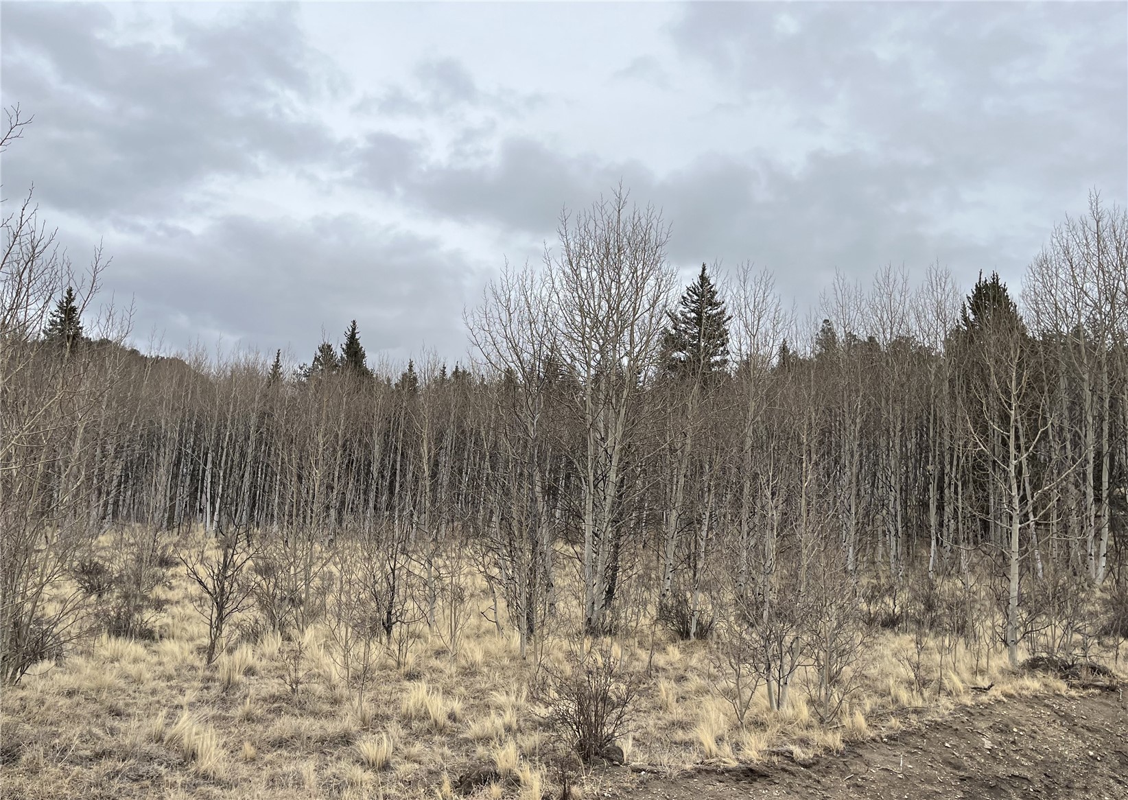 688 Ouray Trail Property Photo 6