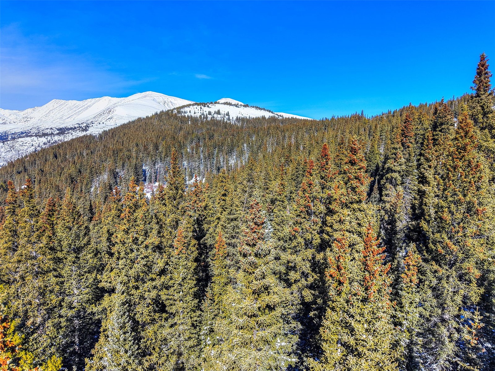 58969 Highway 9 Property Photo 15