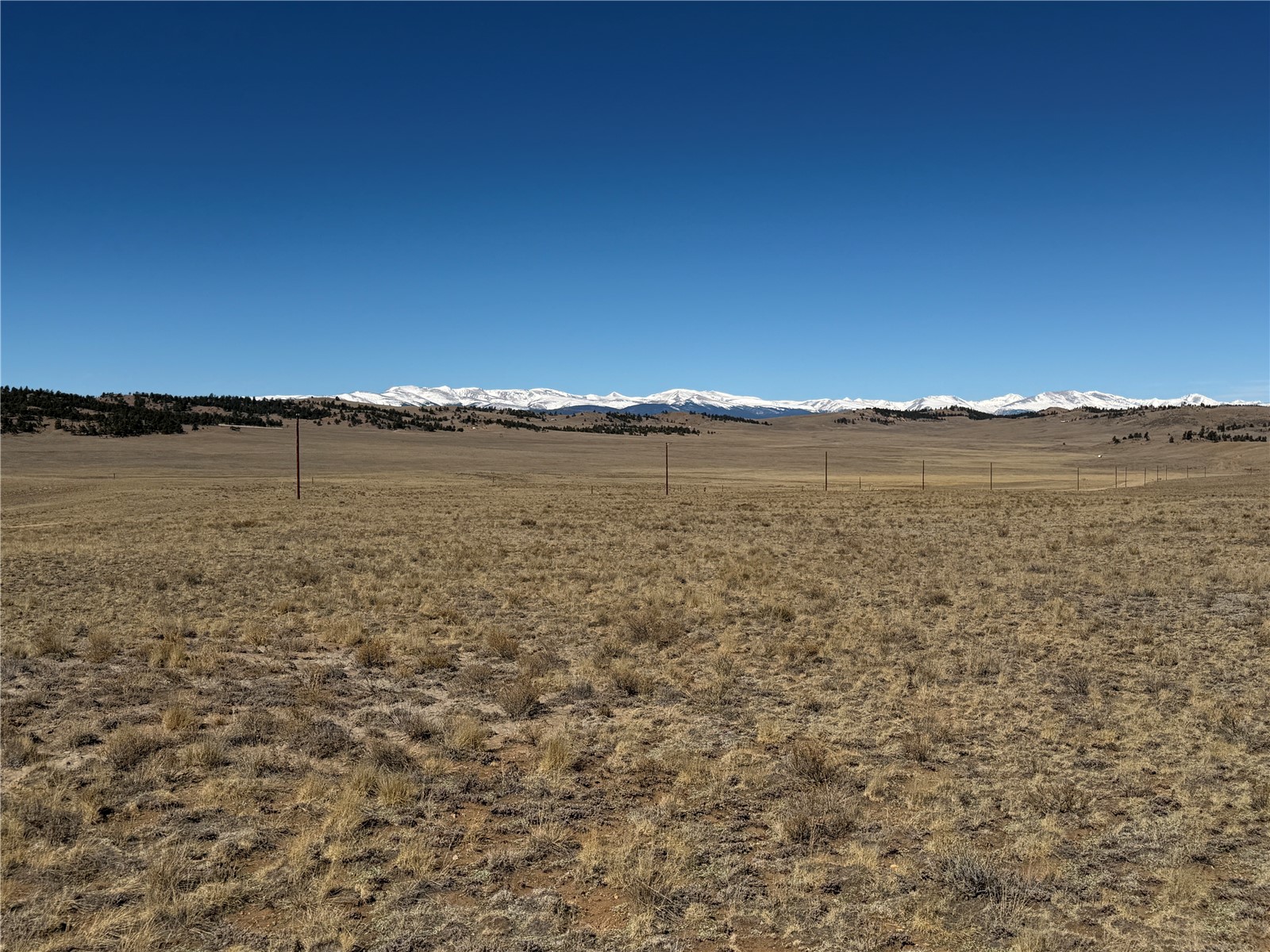 0 Chickasaw Road Property Photo 1
