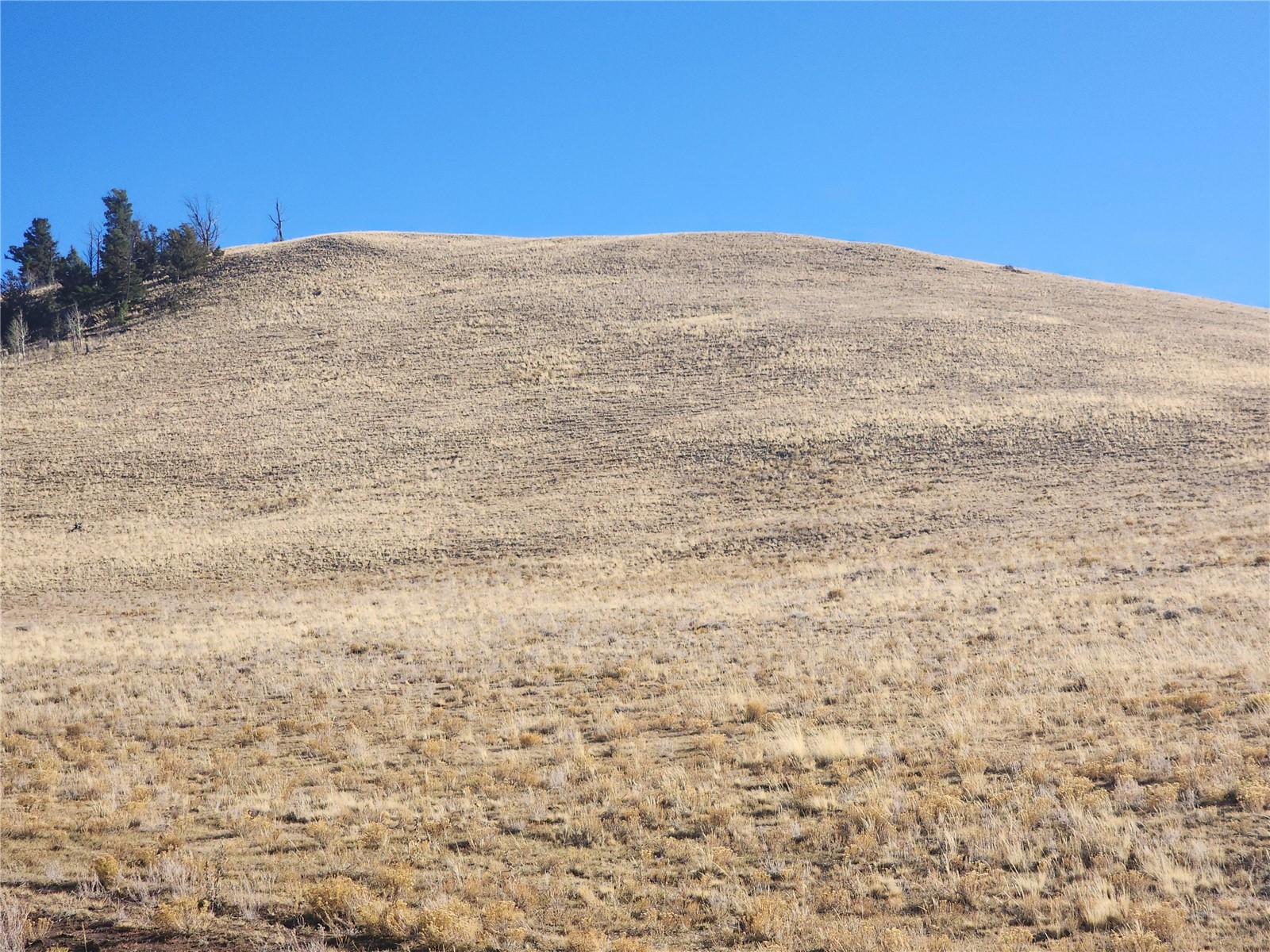 0 Coweta Trail Property Photo 4