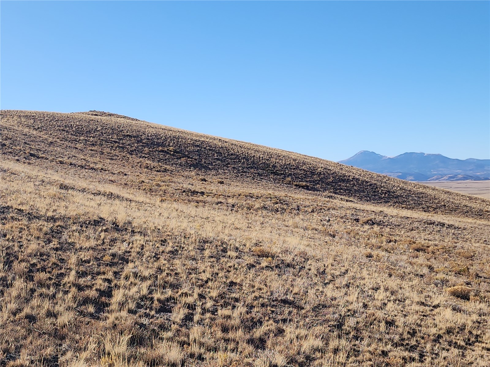 0 Coweta Trail Property Photo 8