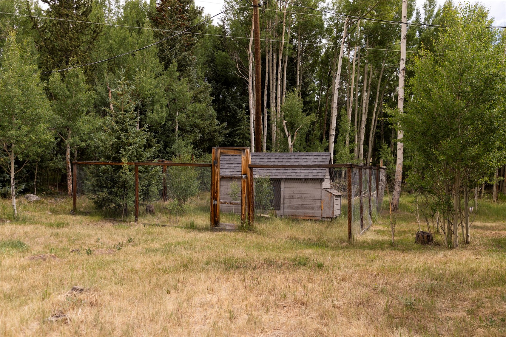 133 Gold Run Road Property Photo 35