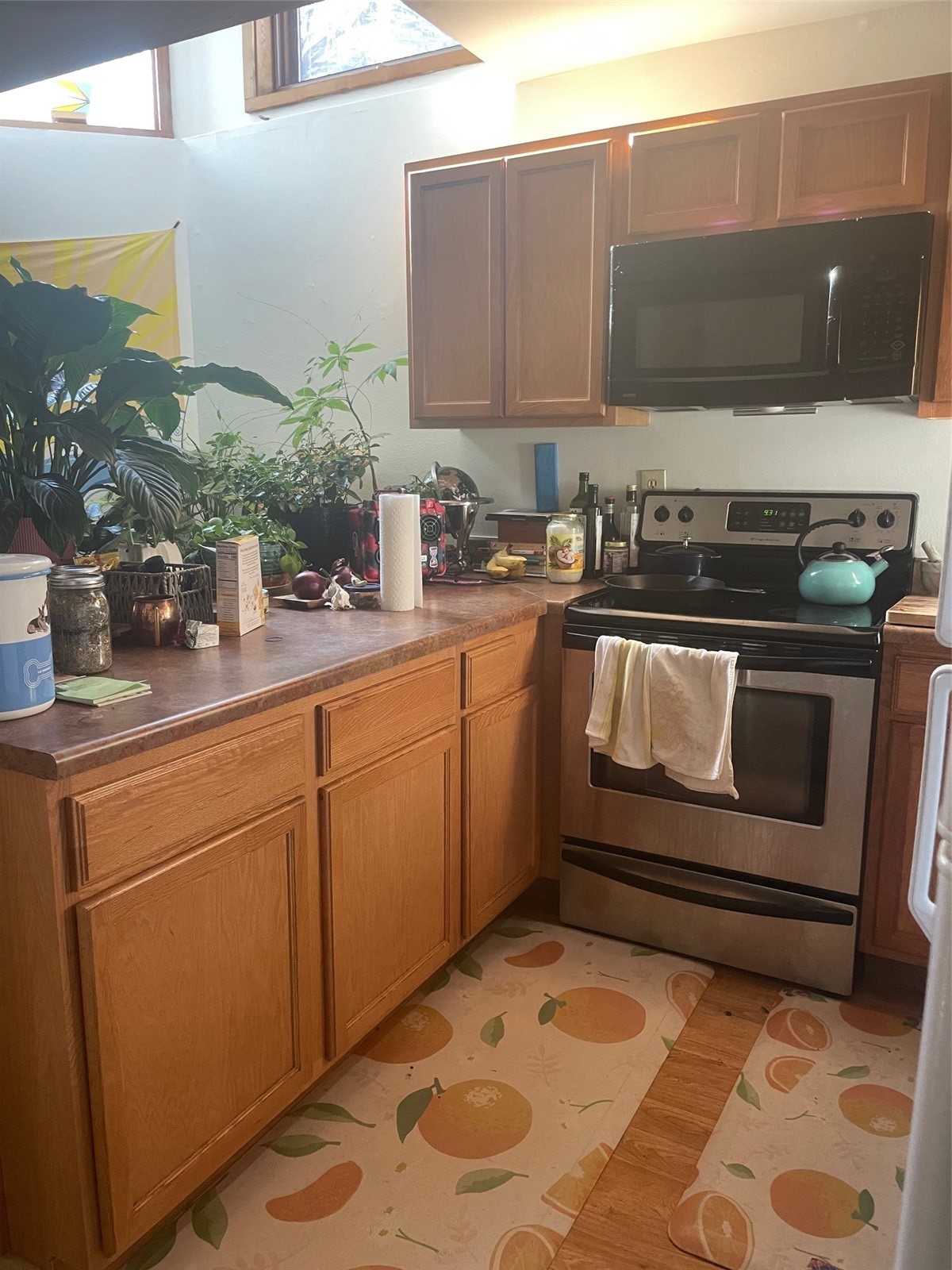 2550-2552 Val Disere Circle Property Photo 17