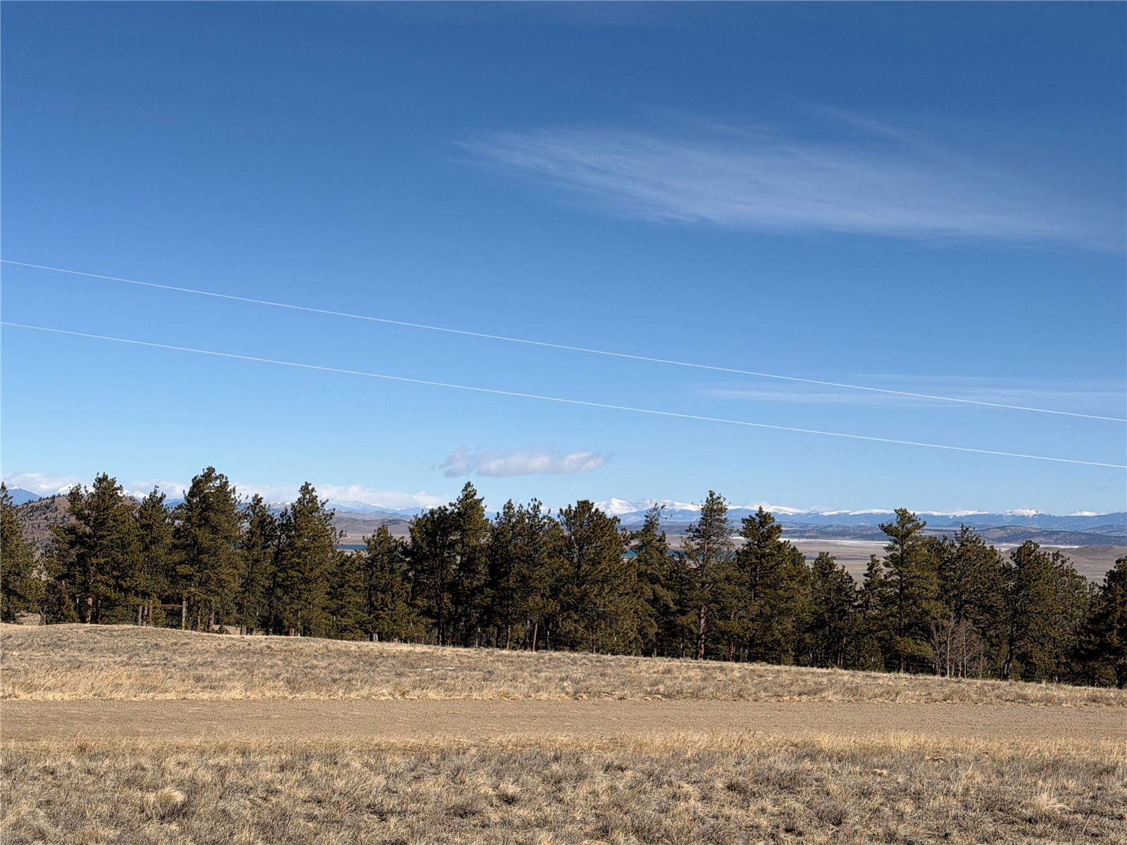 773 Hayhook Way Property Photo 8