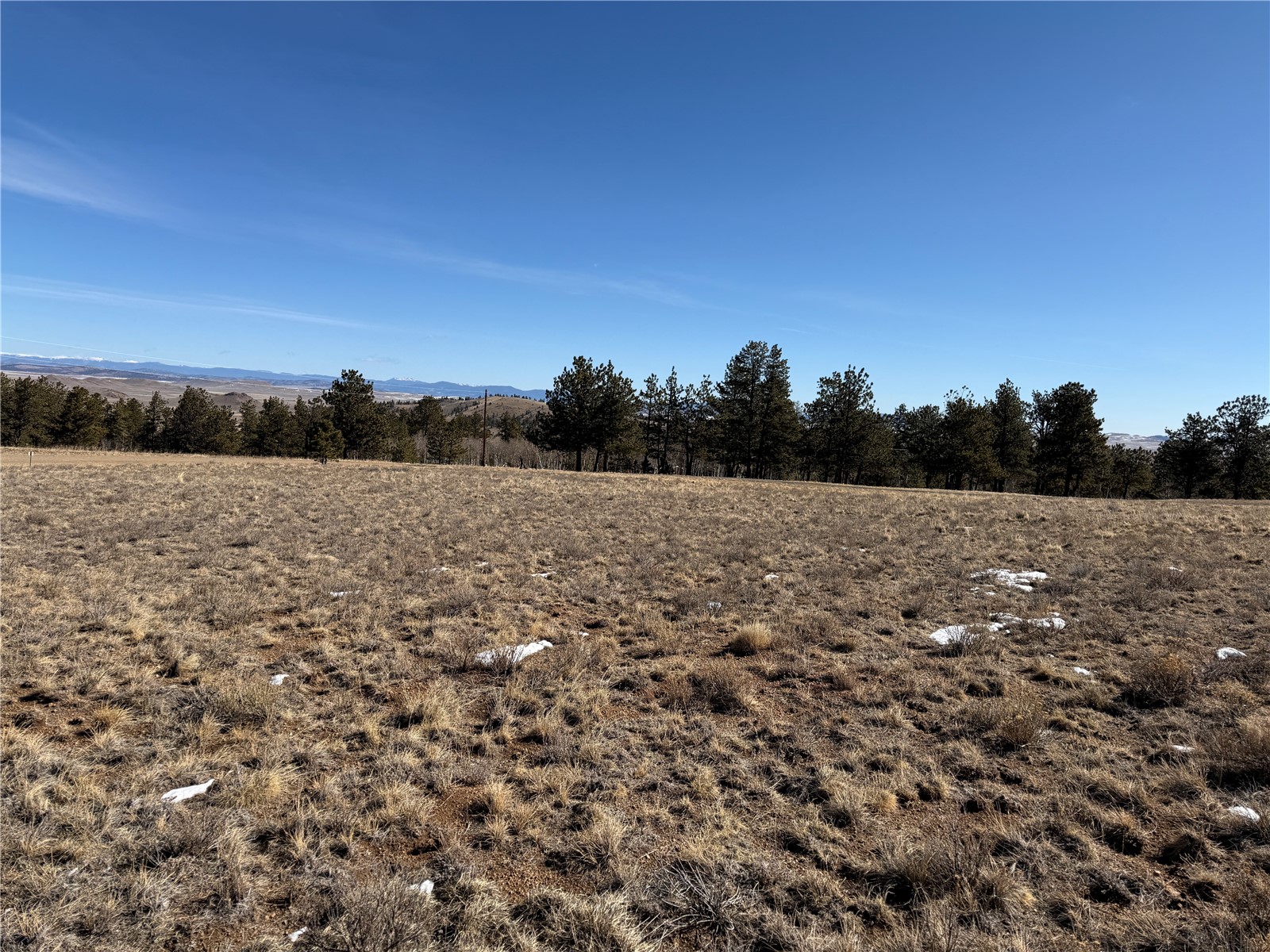 773 Hayhook Way Property Photo 15