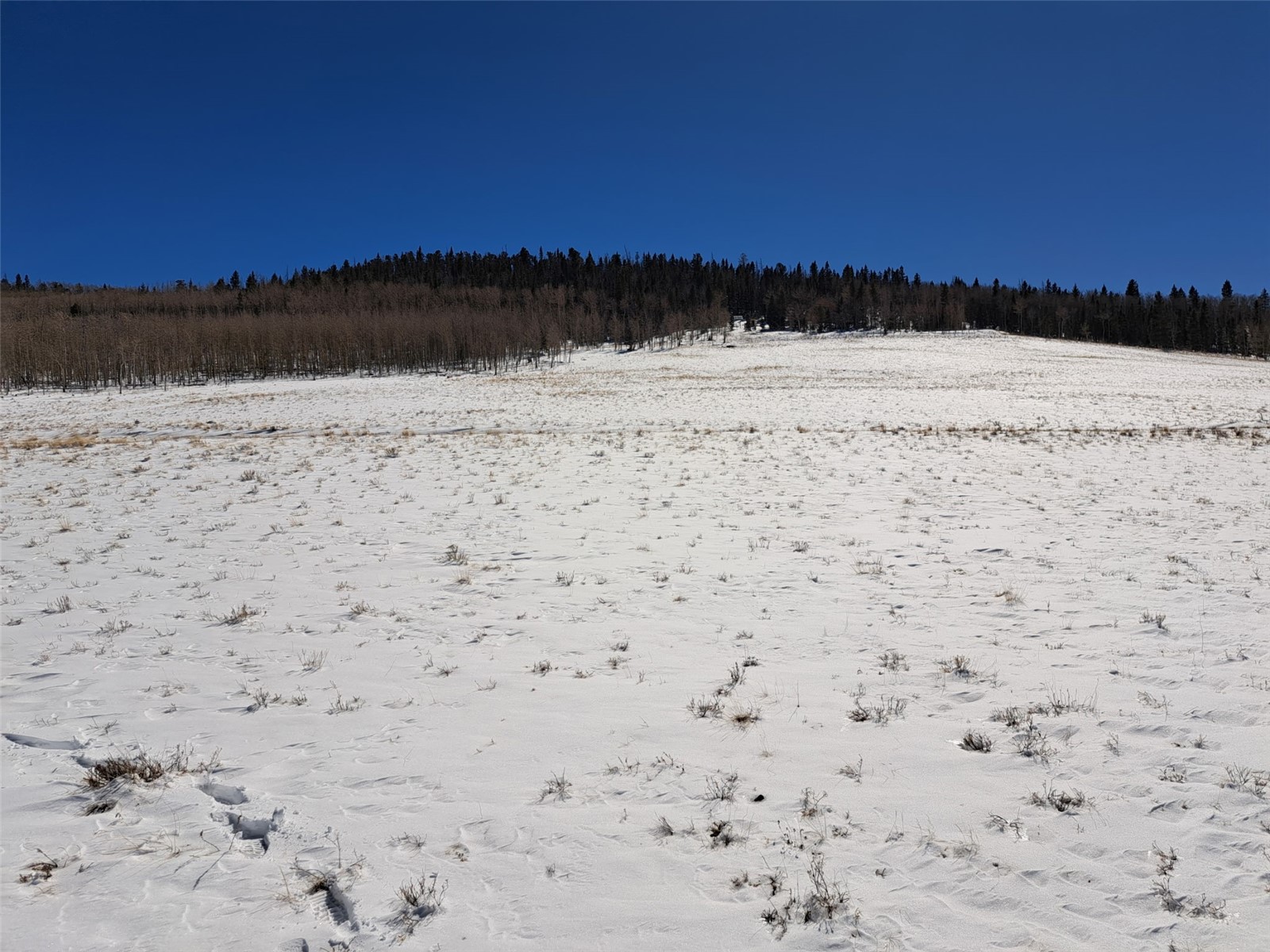 00 Jicarilla Trail Property Photo 1