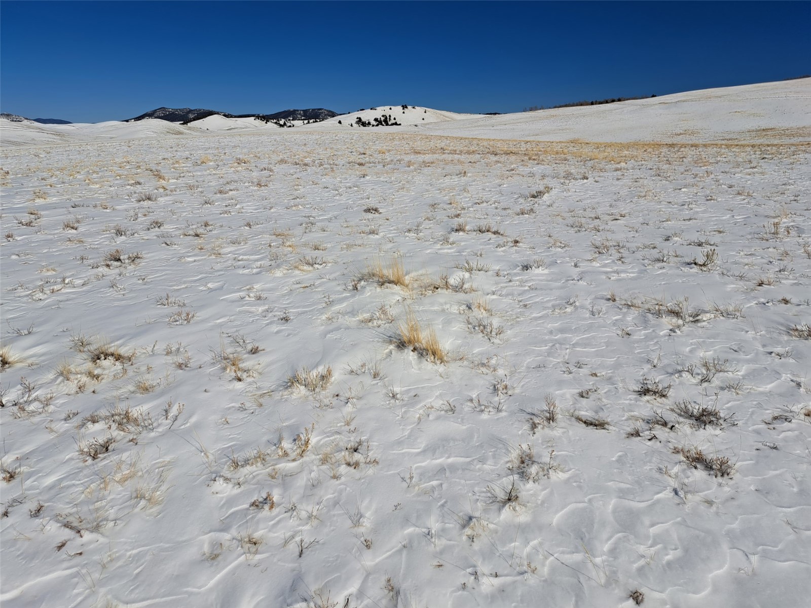 00 Jicarilla Trail Property Photo 3
