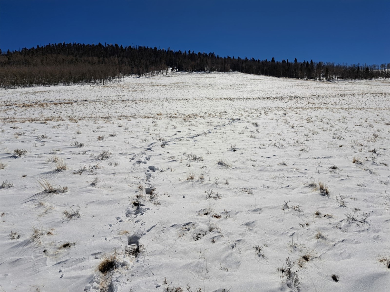 00 Jicarilla Trail Property Photo 5