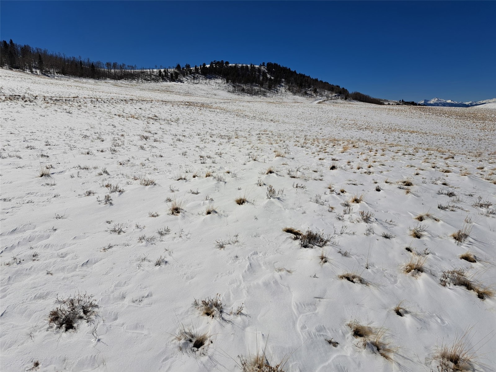 00 Jicarilla Trail Property Photo 10