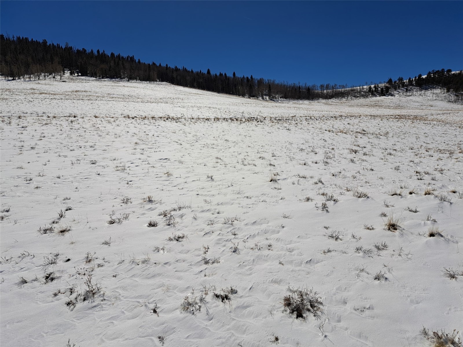 00 Jicarilla Trail Property Photo 13