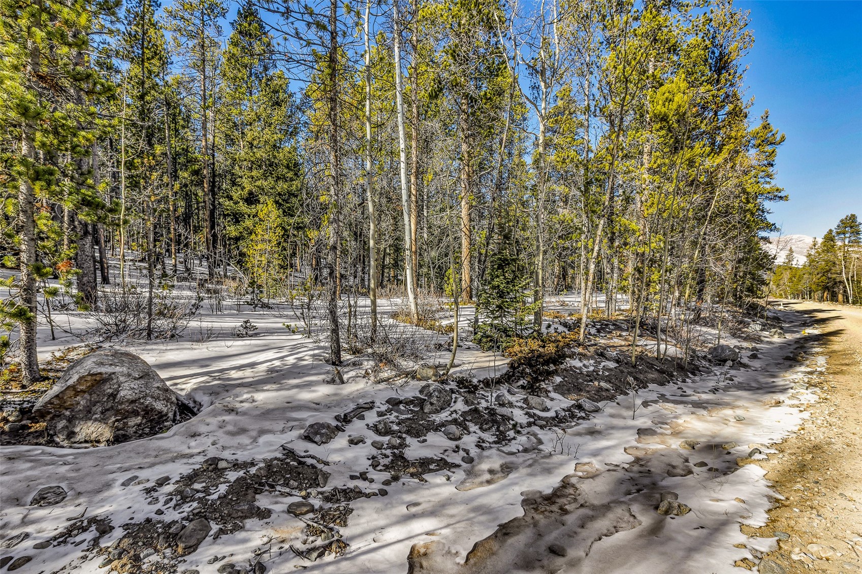Tbd County Road 19 Property Photo 13