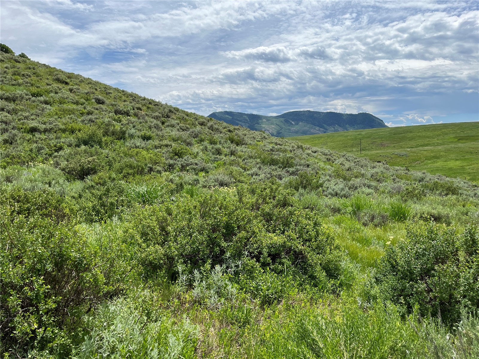 Tbd Routt County Road 46 Property Photo 1