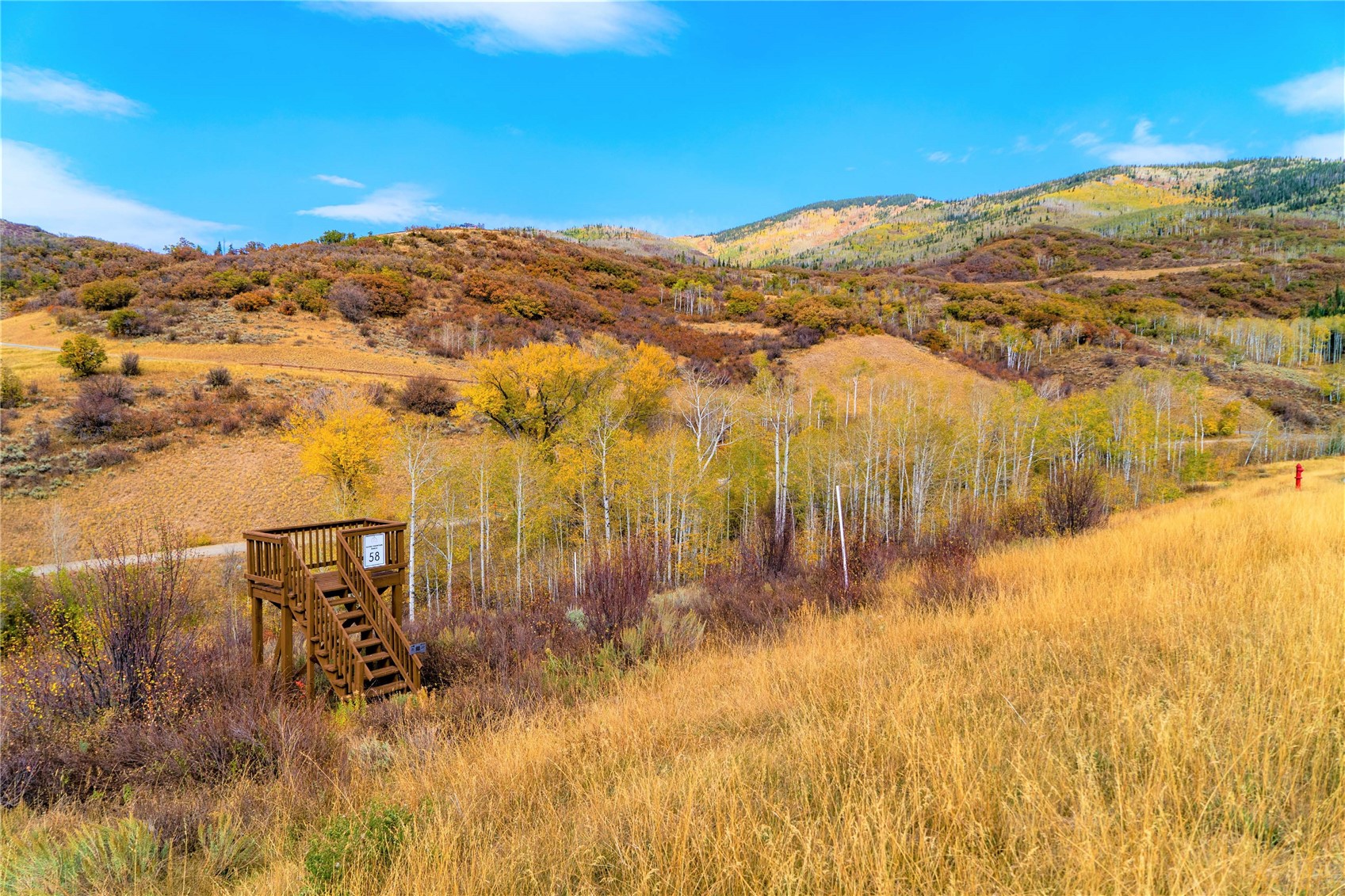 33525 Meadow Creek Drive Property Photo 8