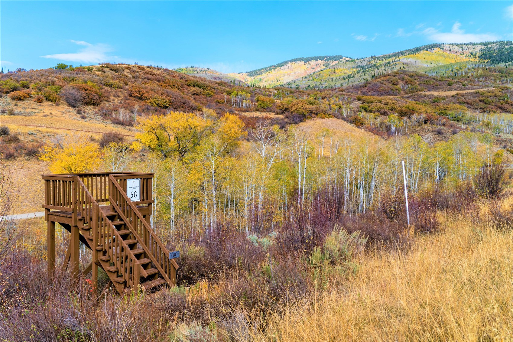 33525 Meadow Creek Drive Property Photo 10