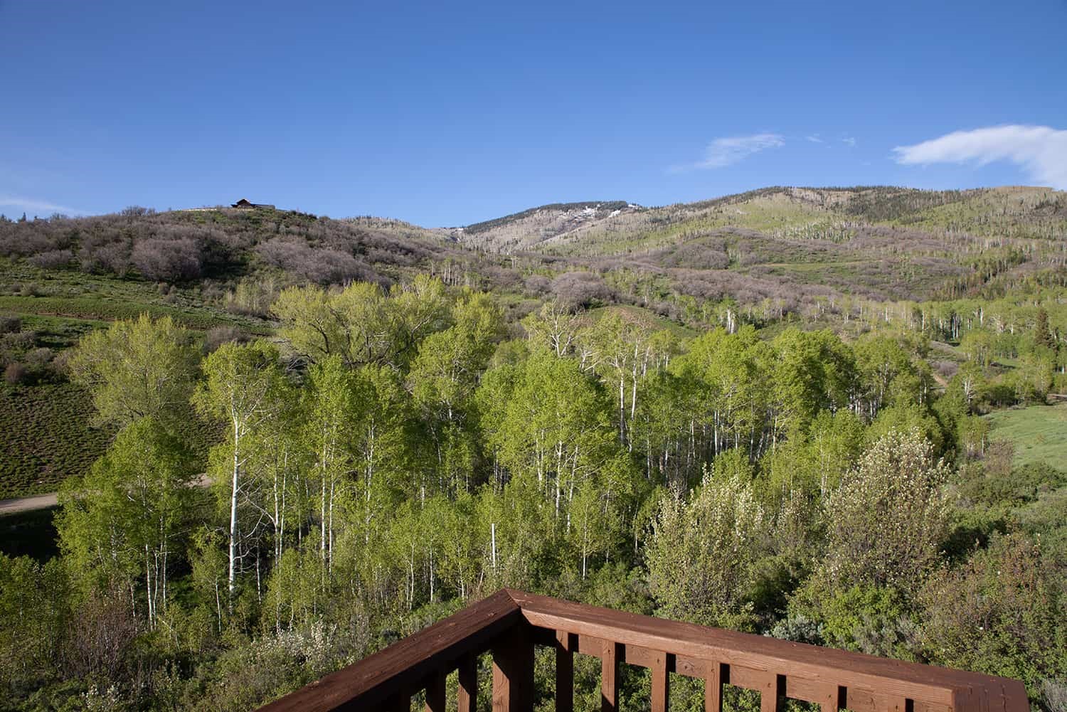33525 Meadow Creek Drive Property Photo 11