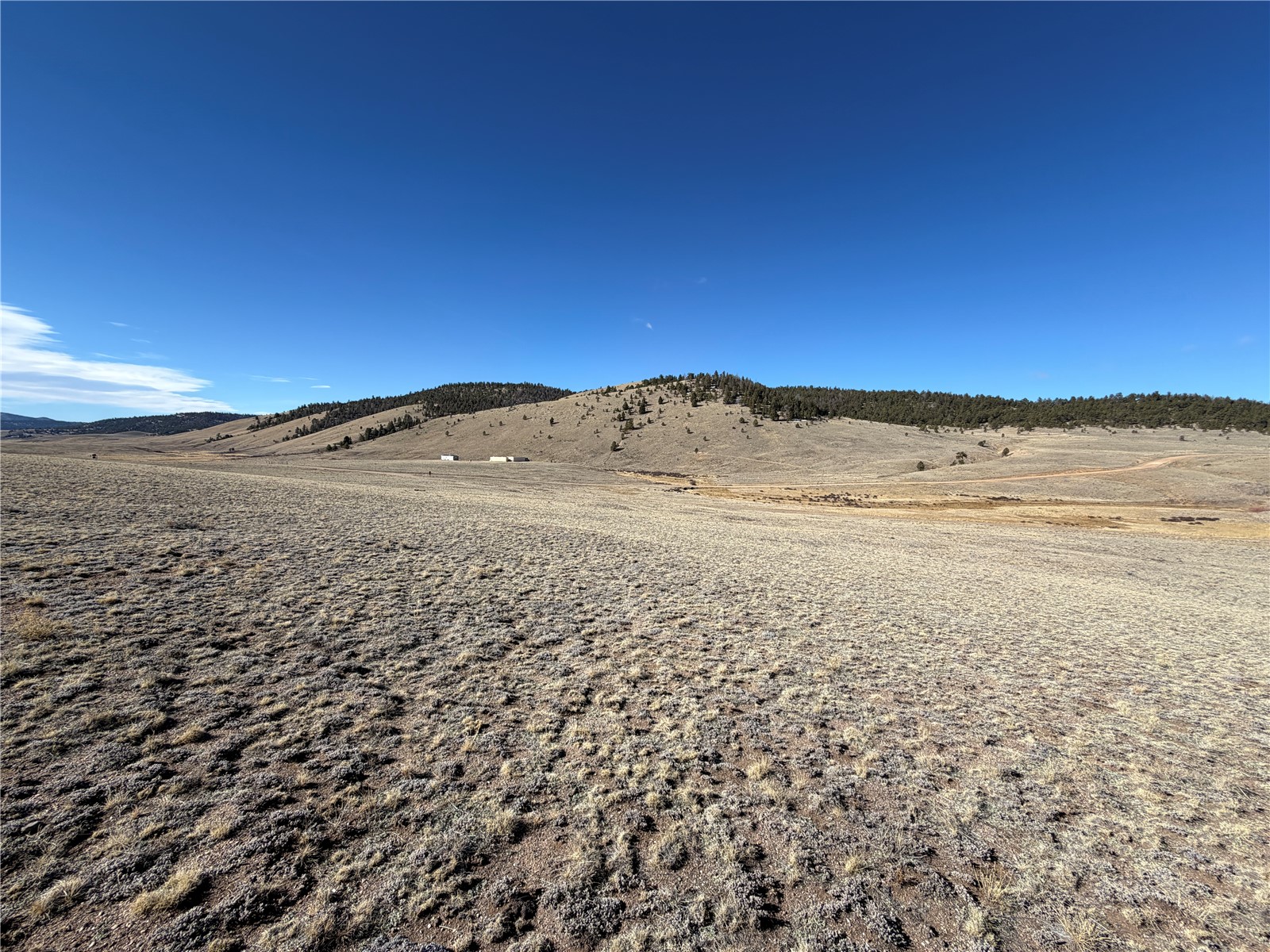 66 Wagon Wheel Road Property Photo 2