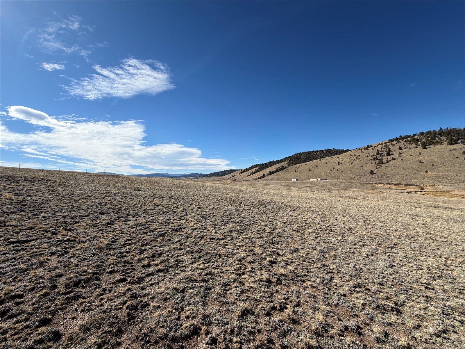 66 Wagon Wheel Road Property Photo 3
