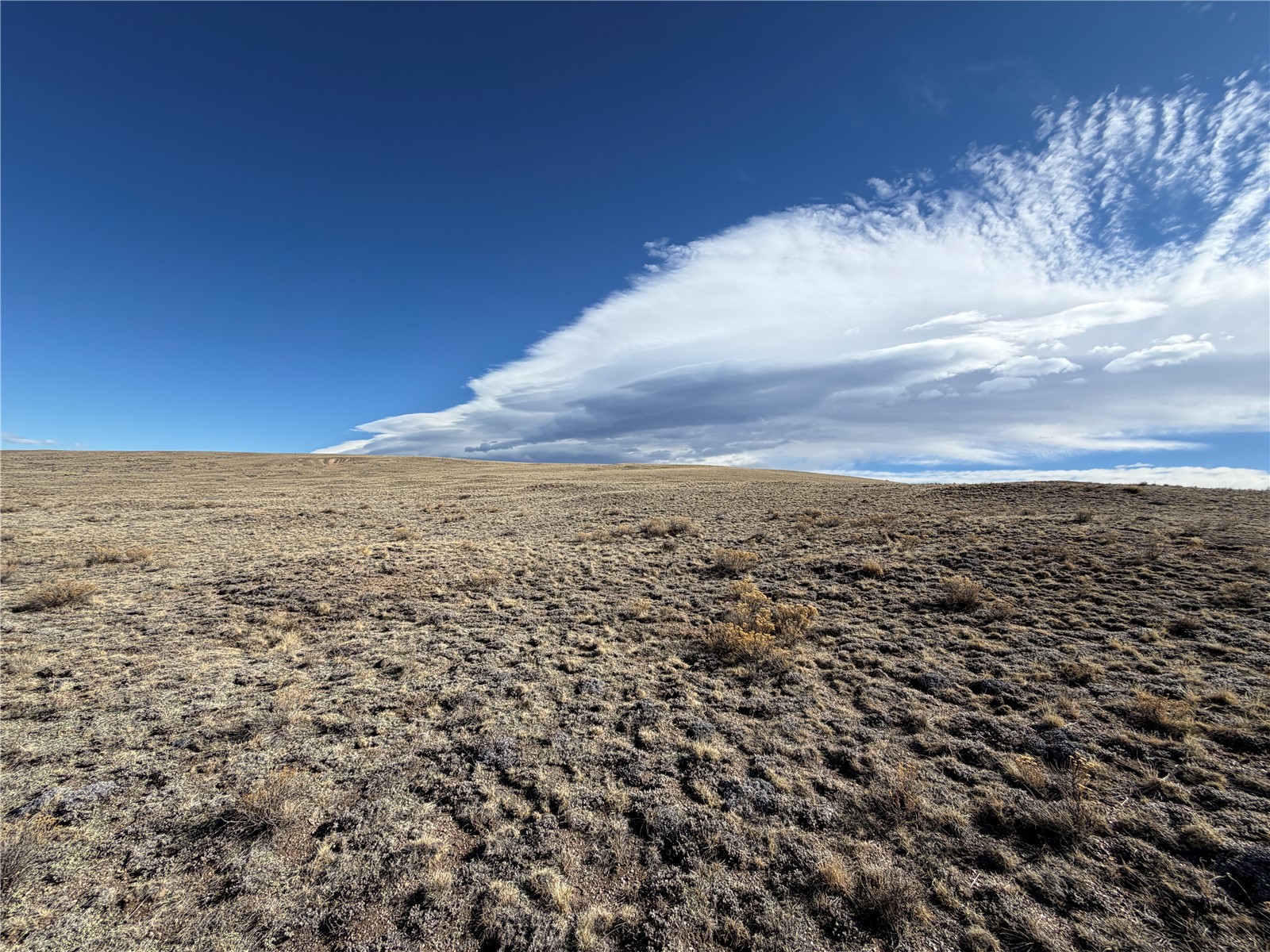 66 Wagon Wheel Road Property Photo 10