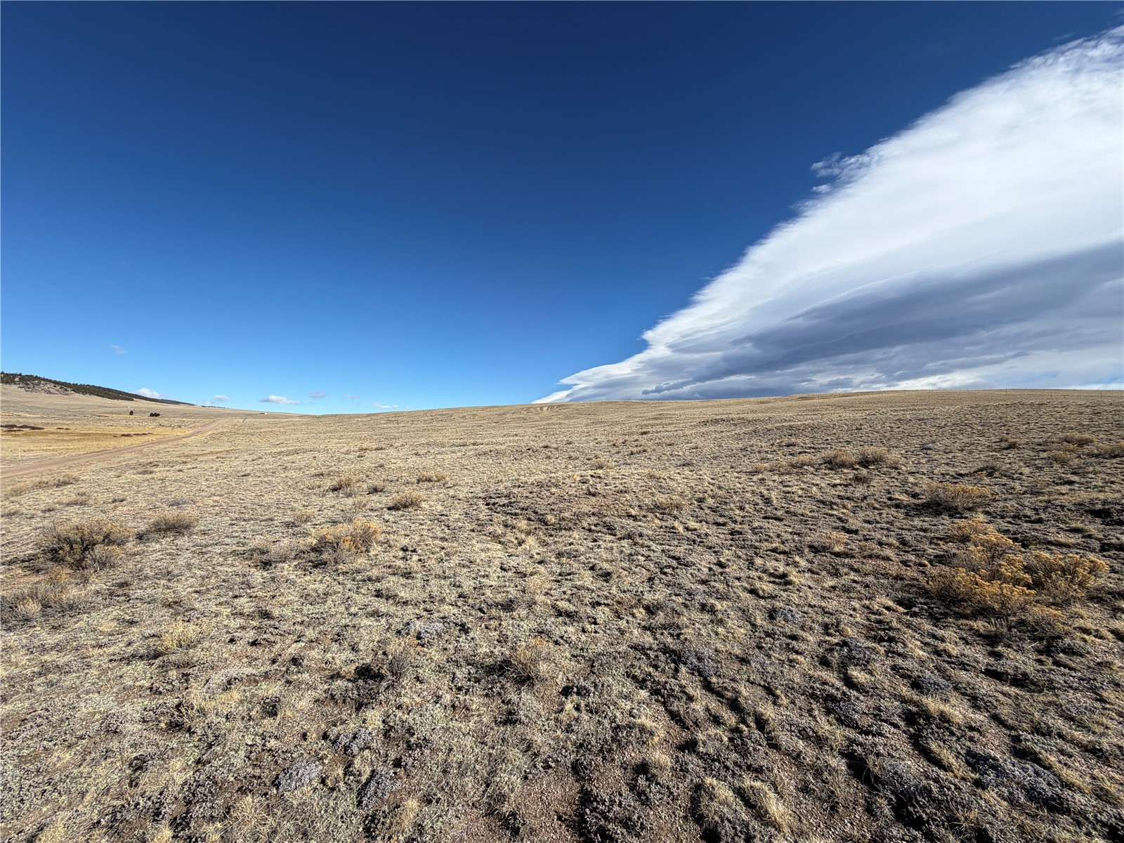 66 Wagon Wheel Road Property Photo 11