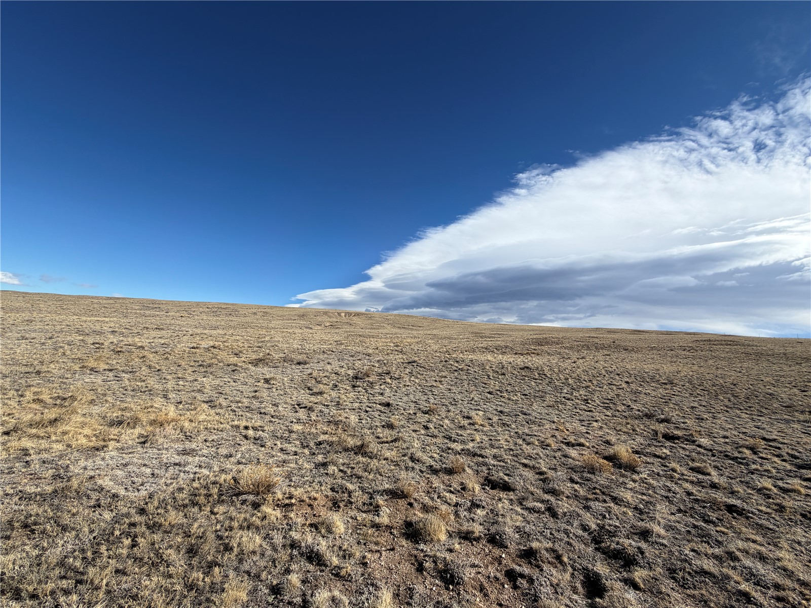 66 Wagon Wheel Road Property Photo 13