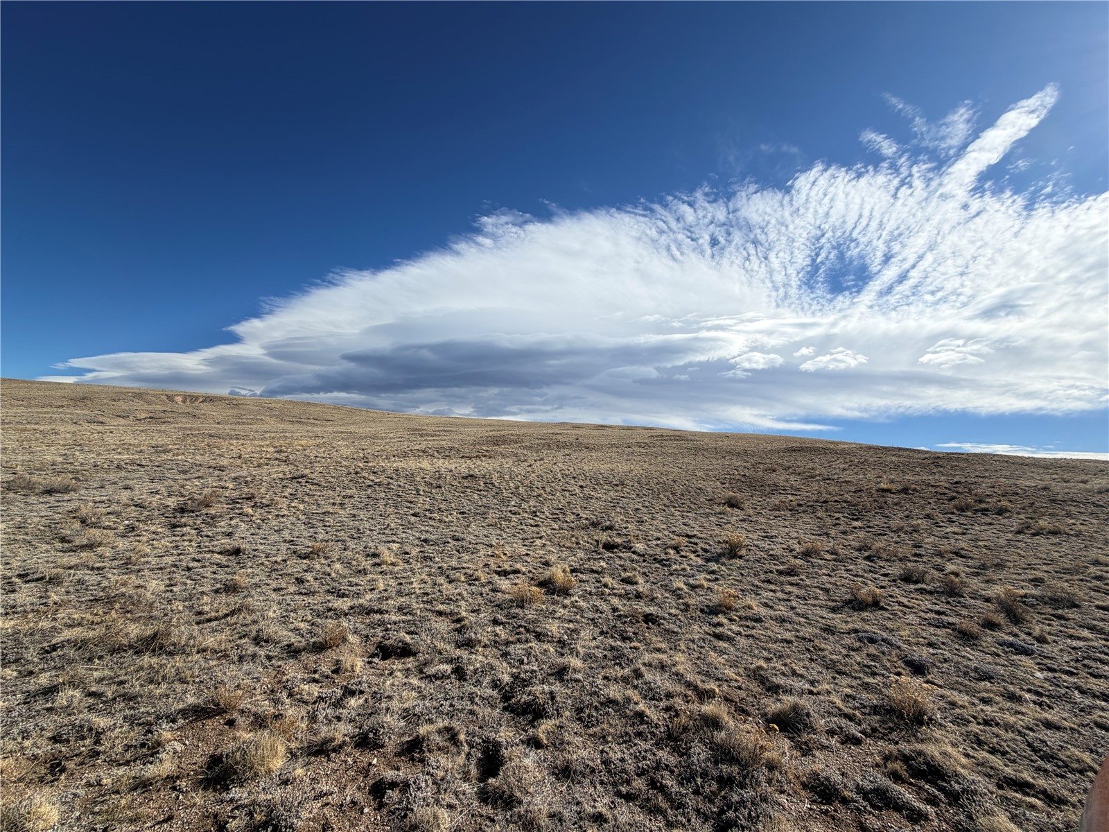66 Wagon Wheel Road Property Photo 14