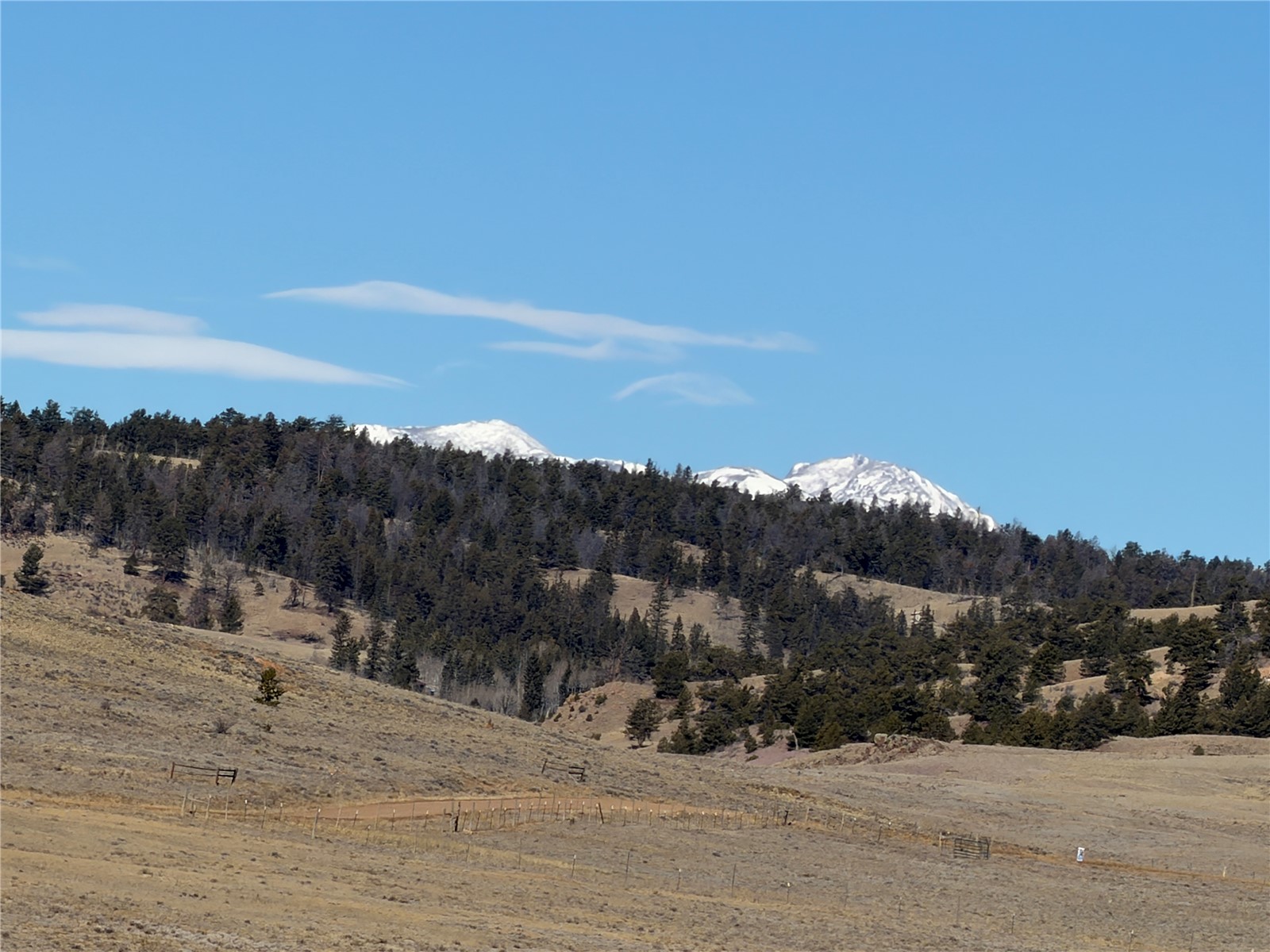 66 Wagon Wheel Road Property Photo 15