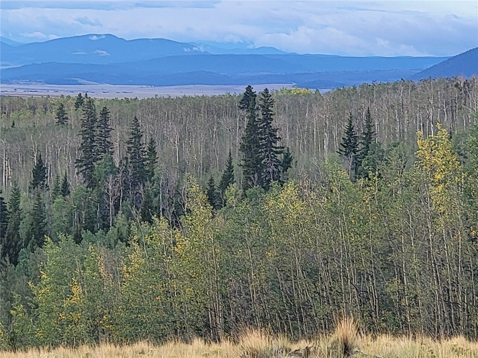 918 Little Baldy Circle Property Photo 2