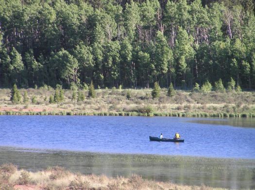 918 Little Baldy Circle Property Photo 8