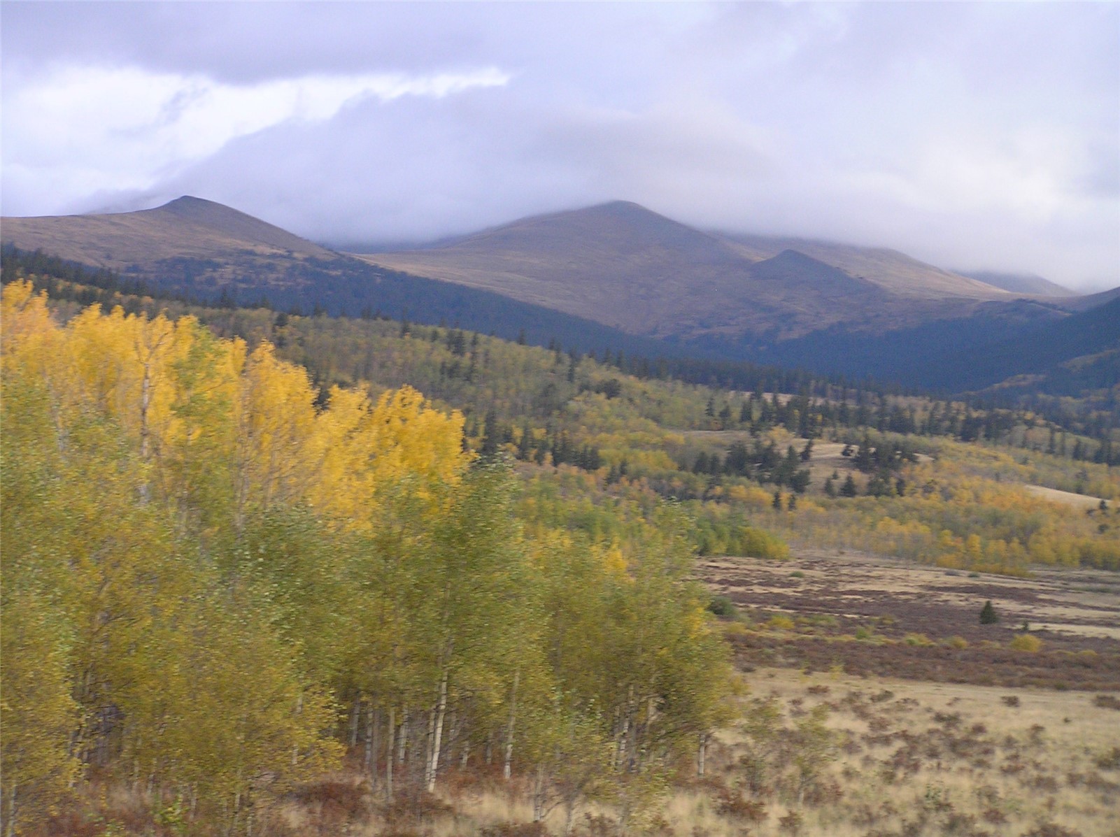 918 Little Baldy Circle Property Photo 24