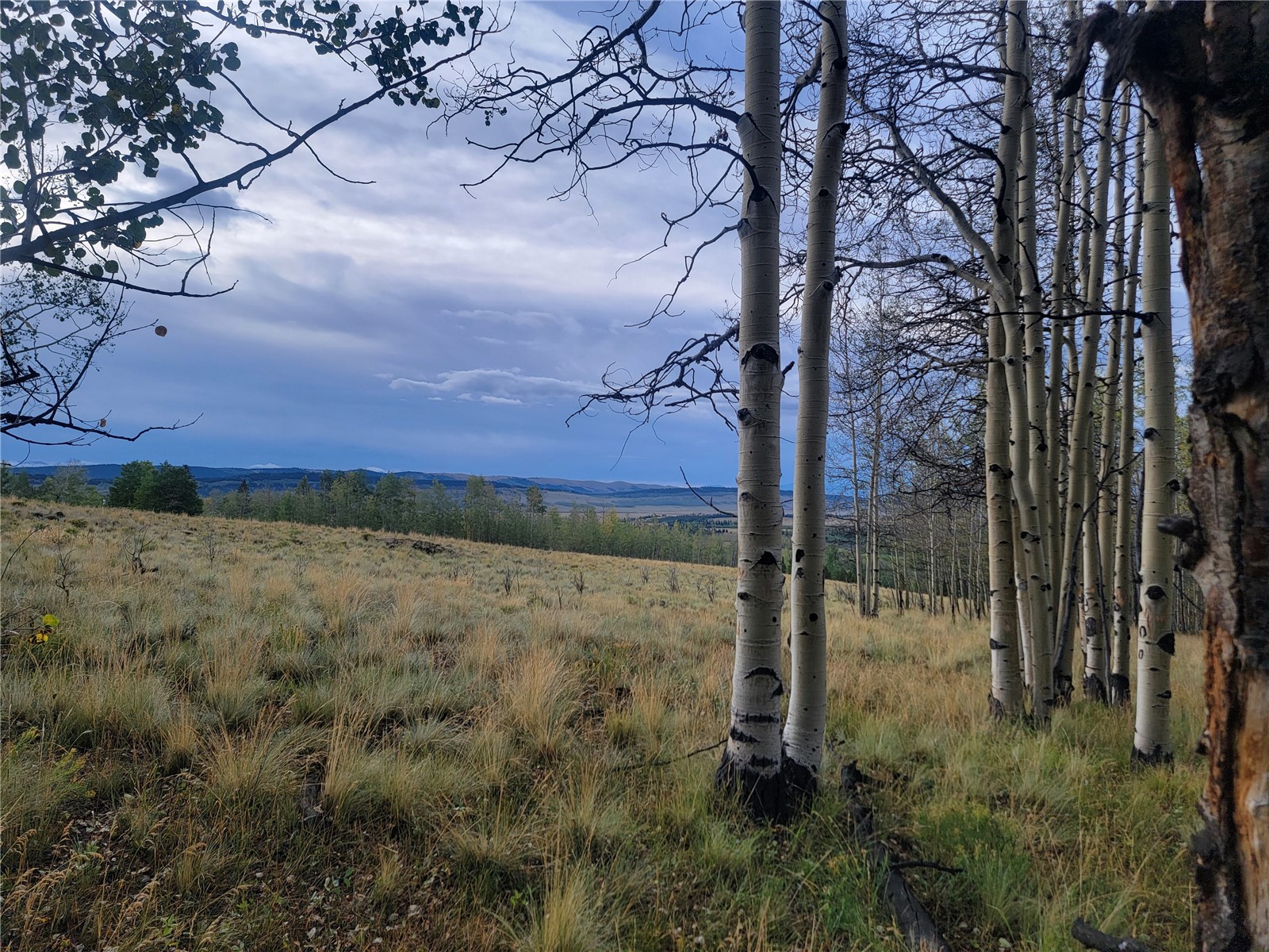 918 Little Baldy Circle Property Photo 35